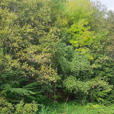 Garsoniera Ioana Διαμέρισμα Σινάια Εξωτερικό φωτογραφία